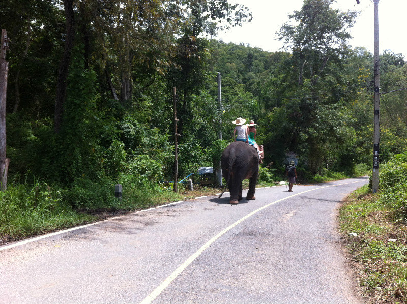 Slow Traffic in Pai