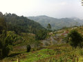 Laohuzui Rice Terrace