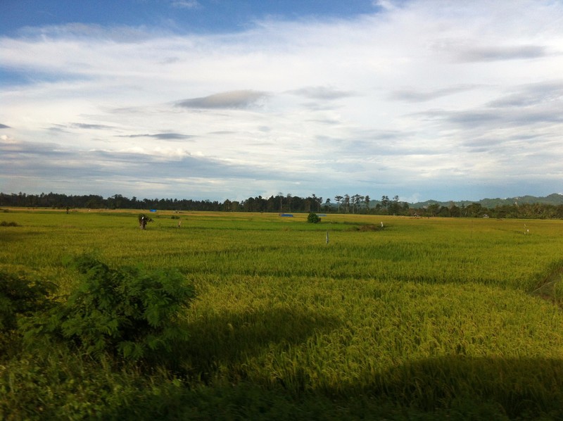 Last views of the Sulawesi countryside