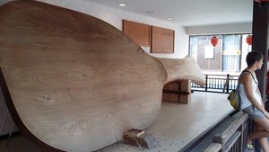 Officially the World's Largest Rice Paddle