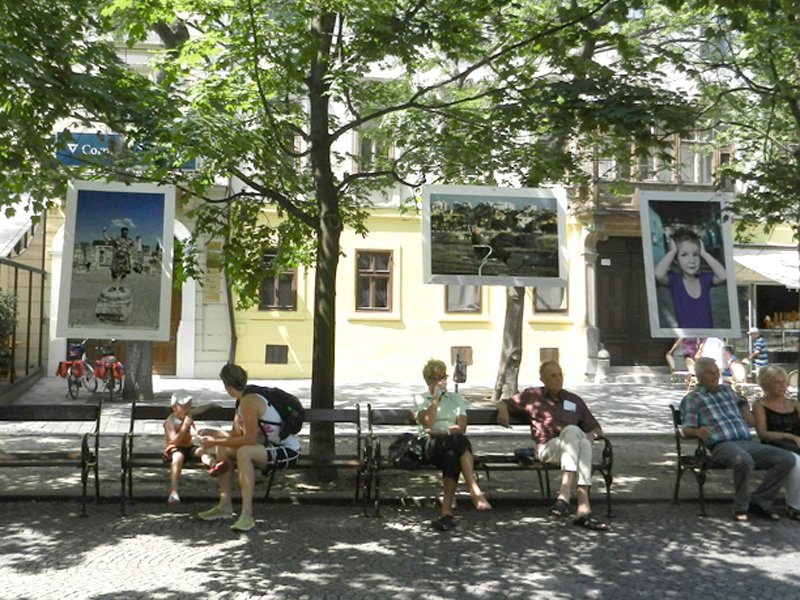 Photo Exhibit in Park