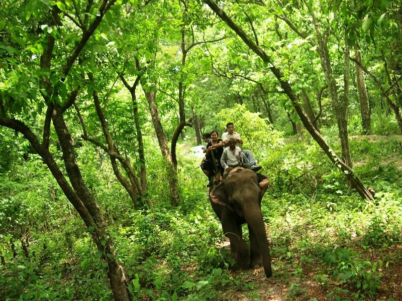Elephant Ride, Adabar