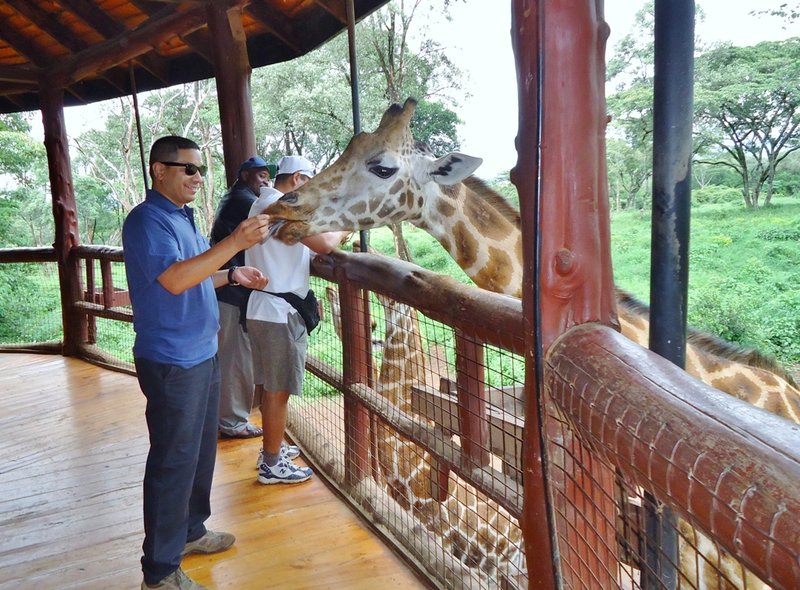 Feeding a Giraffe!