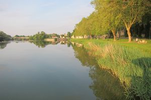 early morning on the canal