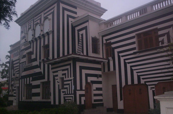 Is it a zebra or a house pretending to be one?