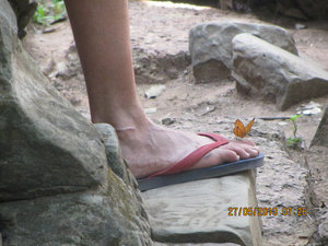 a butterfly resting on a foot