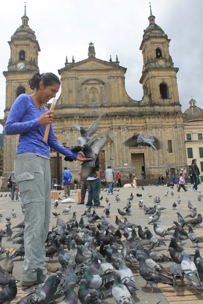 Pigeons in the Main Square