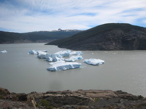 Icebergs calved from the Glacier 