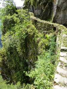 The Inca bridge