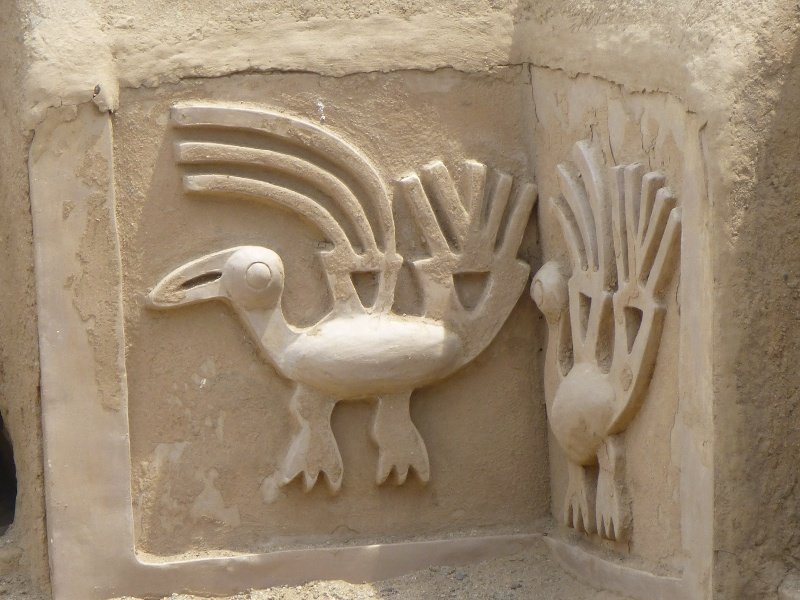 A pelican craved in the adobe palace wall 