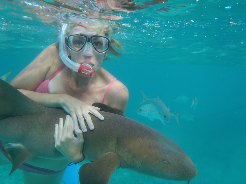 Smothering a Shark