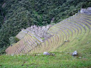 Inca Terraces