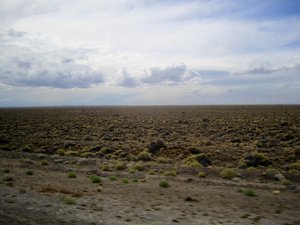 Route 40 Landscape-Las Pampas