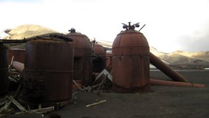 Whale Processing Tanks