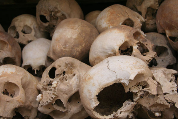 Skulls from the Killing Fields