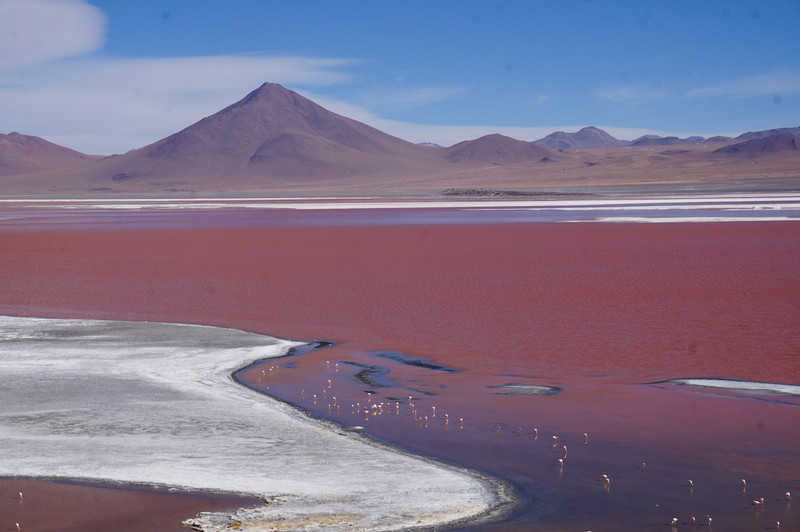 Red lake - coloured by red algae / micro organisms = food for the flamingos