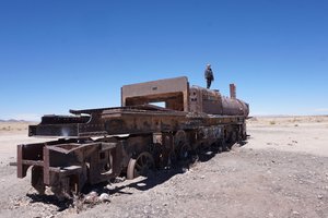 Cemetery of trains in the dessert