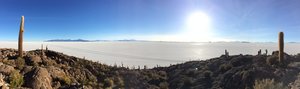 The salar from the cactus island