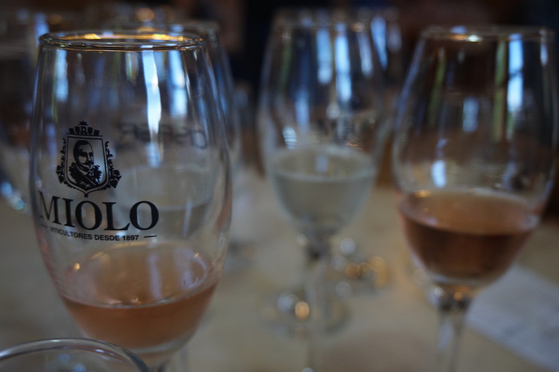 Miolo winery