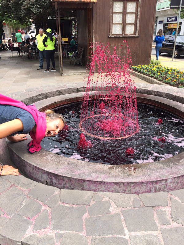 Fountain of wine in Bento Gonçalves