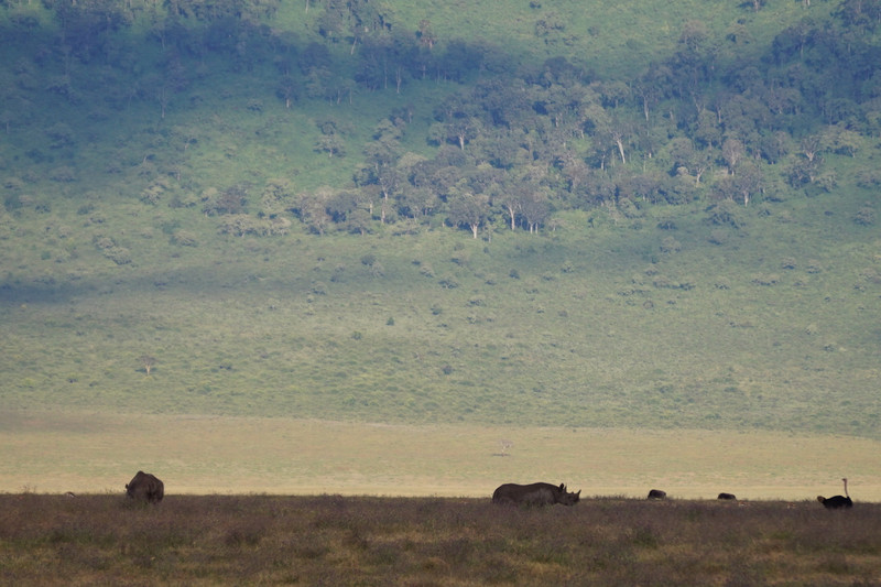 Serengeti Ngorongoro 00064