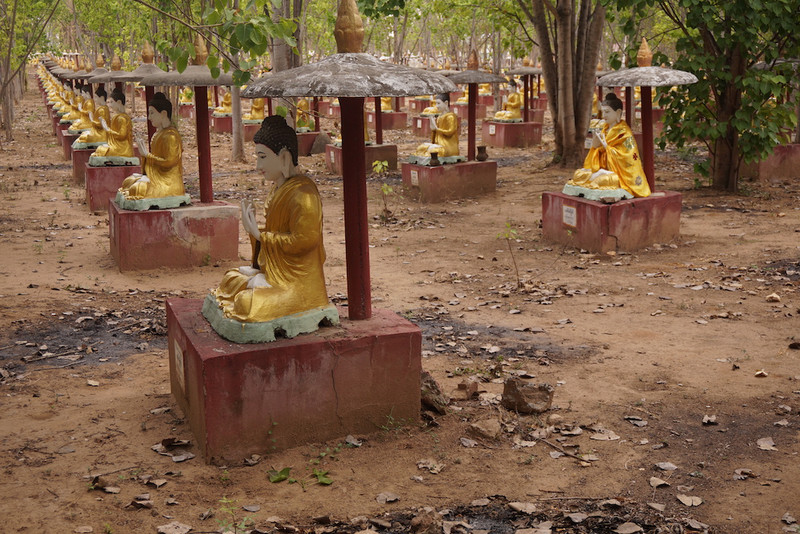 1000 Buddhas garden
