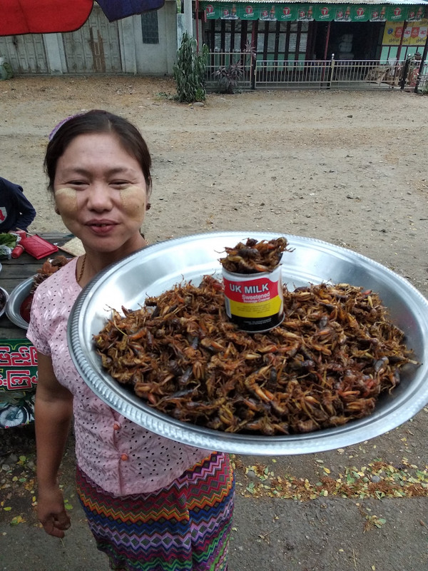 Welcome to Myanmar, have some insects ... ;-)