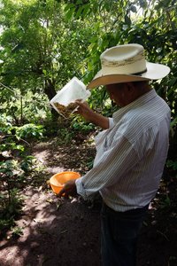 Getting rid of the skin of the coffee beans