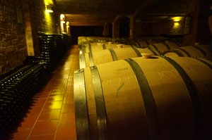 A beautiful vineyard producing wonderful wine