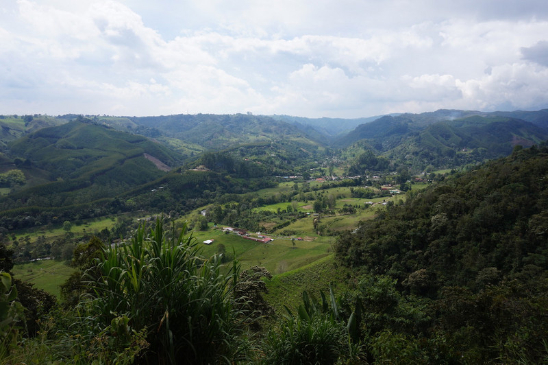 Coffee region of Colombia
