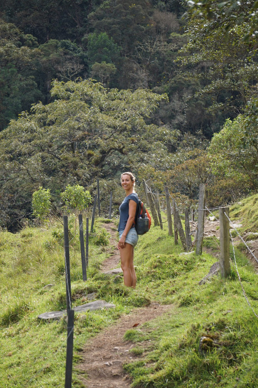 Beautiful hike in the Valle del Cocora