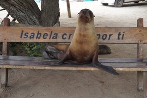 Not lazy but defintely occupying a whole bench