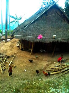 Laos Heirtage housing