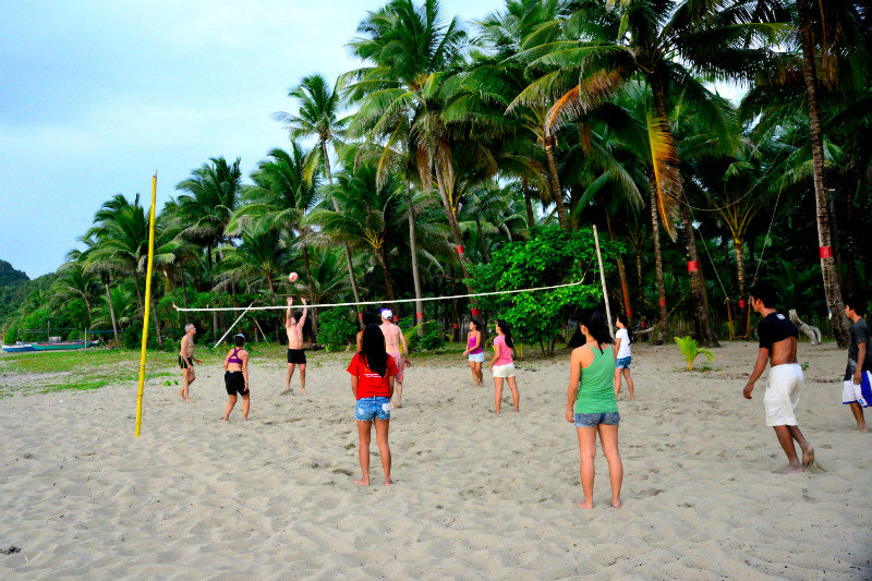 Volleyball Driftwood teams