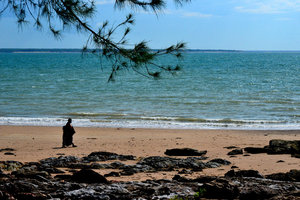 Darwin beach bum