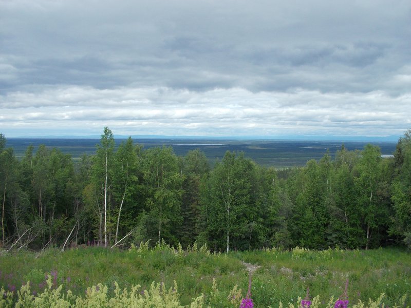 Tanana Valley