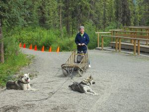 Marilyn with Denali Sled Dogs