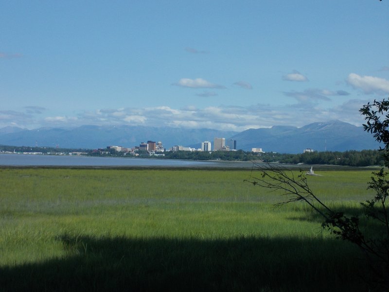 skyline of Anchorage from Earthquake Park