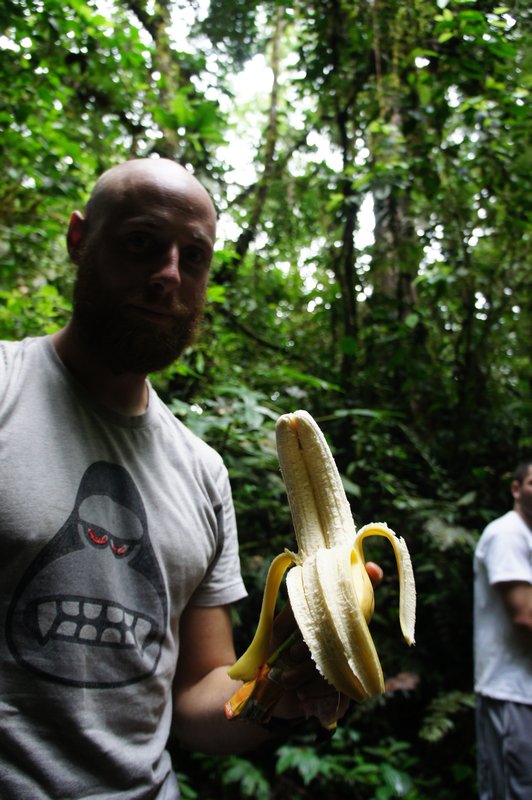 A double banana for the two Gorillas