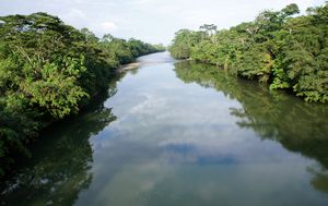 Napo River, Amazon Jungle
