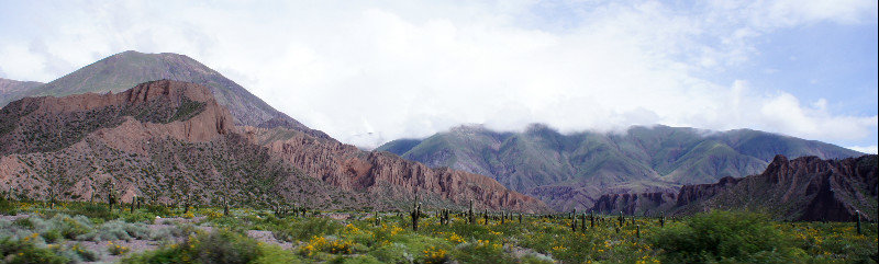 Northern Argentinian landscape