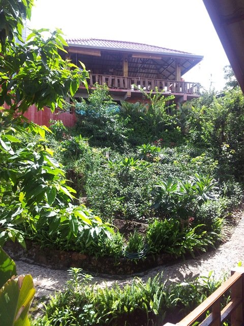 Maesalong accommodation