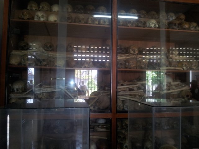 the skulls and bones