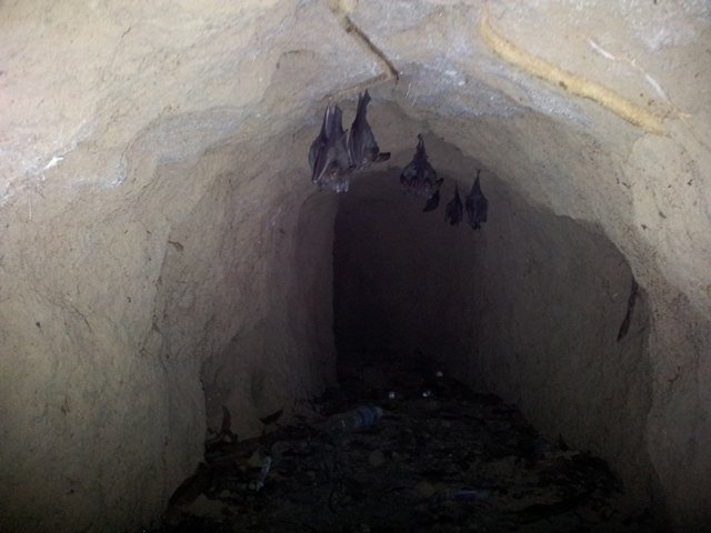 An underground vietcong tunnel