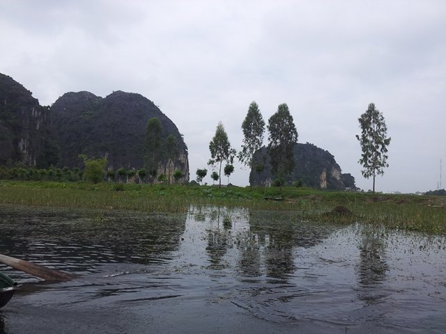 Tam coc limestone structures and rice fields