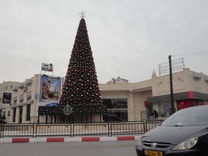 Christmas Tree in Navity Square, Bethlehem.