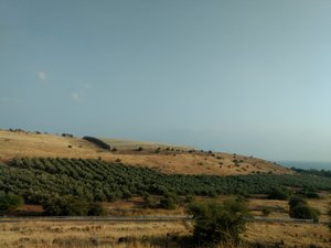 The Gland heights, Syria.