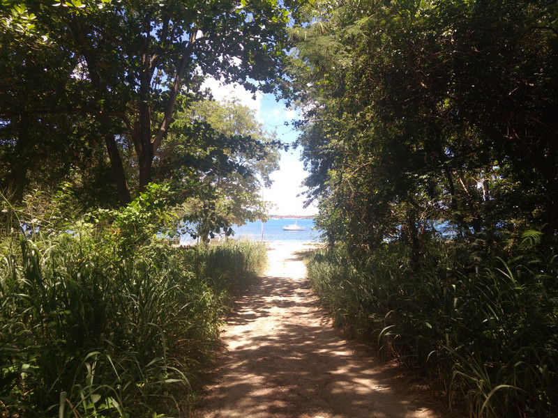 Path to the beach from our holiday home.