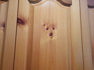 Unusual wood grain showing the image of a dog.