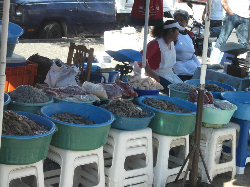 Fresh fish market in Mazatland.